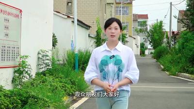 “两山”实践看襄阳“最逆袭乡村”挑战赛 走进襄州区伙牌镇尹张村