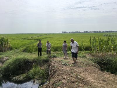程河镇人大：聚力履职强支点 共绘柳乡幸福卷