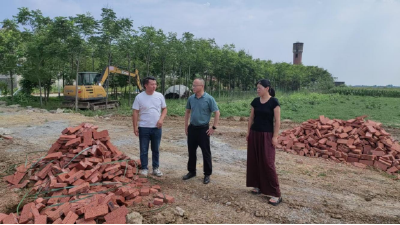 伙牌镇：推进村集体产业项目建设 为美丽乡村提“颜”增“质”