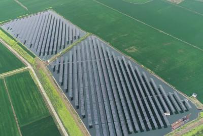 板上发电 板下养鱼 “能量向日葵”来啦