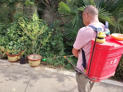 张家集镇：灭蚊虫除杂草  全员下沉抓防疫