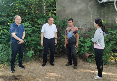 区领导到伙牌镇开展乡村振兴专题调研