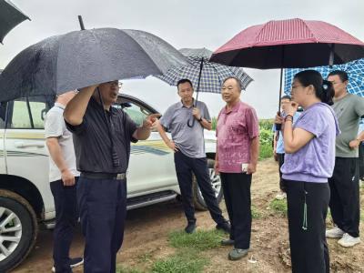 伙牌镇：政企联动排隐患 未雨绸缪保安全