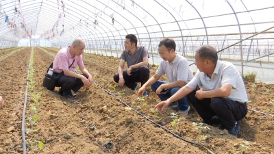 科技“小”院助力农业产业“大”发展