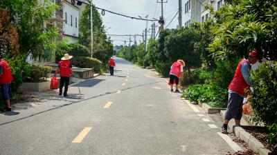 张家集镇人大：联动推进爱国卫生运动与人居环境整治