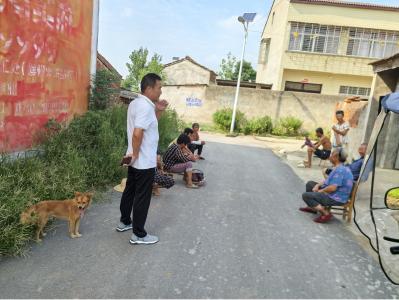 黄龙镇：多措并举织密基孔肯雅热“防控网”