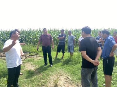 古驿镇：委员沉下去 民心聚起来