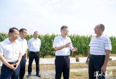 吴海涛调研农业抗旱工作时强调 全力以赴保供保灌 确保农业稳产丰收