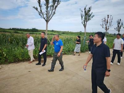 峪山镇人大：绿化项目验收成功  提升村容村貌