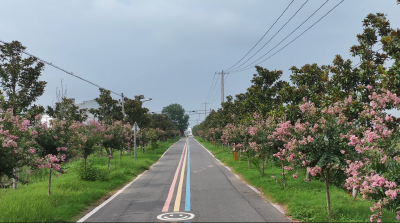 黄龙镇方岗村：综合整治改环境 共建美丽新家园