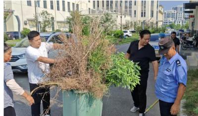 襄州区中医医院开展爱国卫生运动大扫除 筑牢“防蚊屏障”