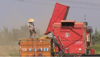 高效！机械助力春花生采收“狂飙”