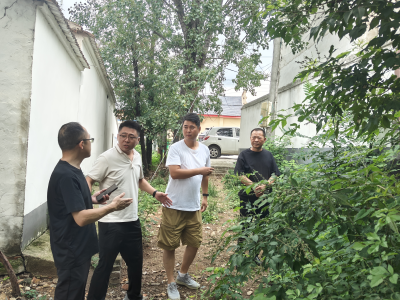 黄龙镇人大监督项目添动力 建设加速度落地见实效