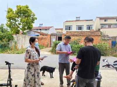 黄集镇：秸秆禁烧进行时 人大代表在行动