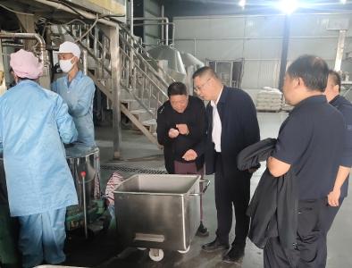 区领导调研重点项目建设情况