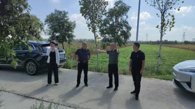 伙牌镇：发展集体项目 构建美丽乡村
