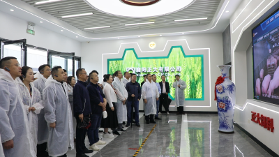 龙头带小微 签约促共赢 湖北中小企业组团“取经”正大集团