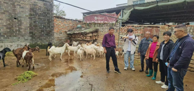 张家集镇：精准验收产业 助力农户增收