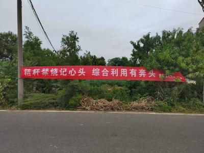 黄集镇：人大代表“秸”力守护 织密田间“防火网”