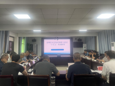 襄州区应急管理局召开应急体系和能力建设“十五五”规划评审会