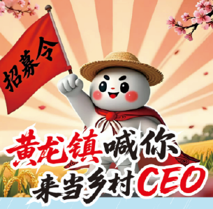 招募令｜黄龙镇喊你来当乡村CEO