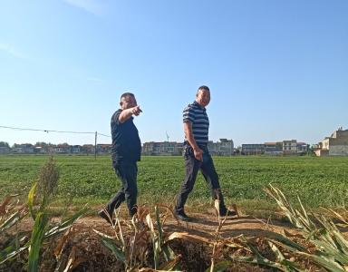 程河镇人大：办好“民生微实事”   提升群众幸福感