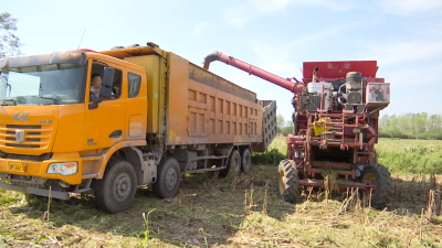 合作社点单式服务 襄州农户种地轻松从容