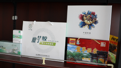 襄阳天然星“链”接东南亚，政企合力构建跨国产业链