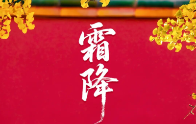 霜降：好柿成“霜”，喜从天“降”