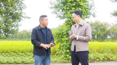 崔长领：强调度强服务强保障  全力以赴抢收抢烘抢种