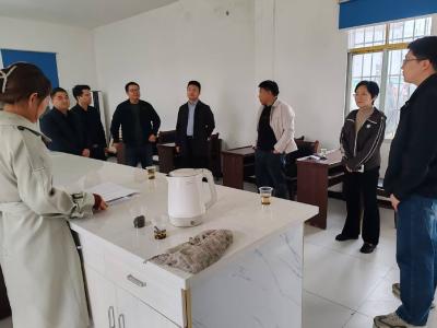 张家集镇人大：代表一线履职 助力全域项目平稳落地