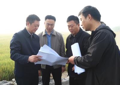 崔长领：扎实推进乡村振兴“四项行动”