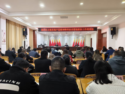 襄州区卫健系统严重精神障碍患者管理救治工作培训会召开