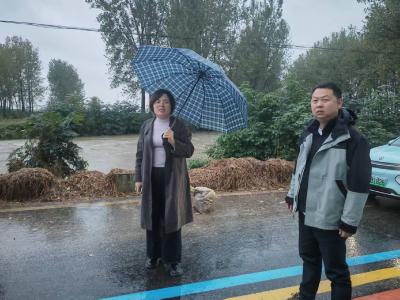 程河镇人大代表紧盯“雨”“水”双线 筑牢民生守护墙