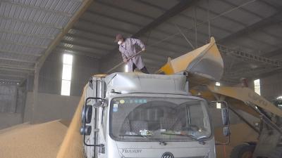 龙王镇：抢抓晴好天气 加快秋收秋种