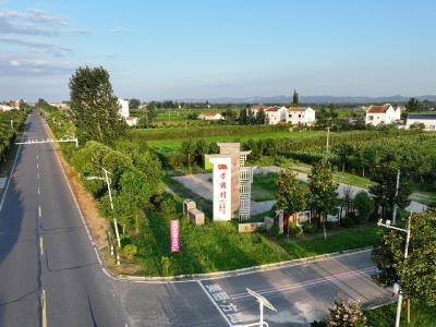 黄龙镇方岗村：“三线”并行 绘就富民新村新画卷