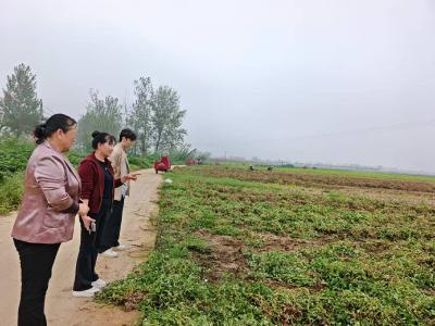 程河镇：人大代表化身“禁烧卫士” 筑牢秋收秸秆防火线