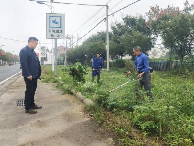 黄龙：代表带头整环境 群众清爽过双节