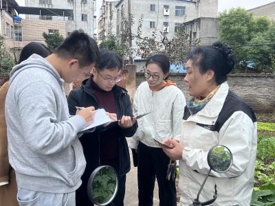 襄州区残联以评促建 接受省残疾人辅助器具补贴暨民生项目工作评估