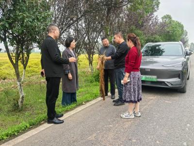 阴雨阻收割，代表暖民心！程河镇人大代表实地督导水稻抢收减损