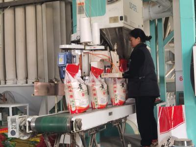 黄龙大米远销四川、陕西等省市