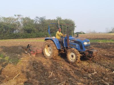黄龙镇：抢晴天战阴天 科学合理抓好秋播秋种