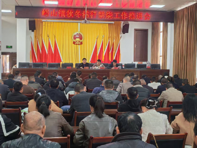 峪山镇人大凝心聚力 筑牢秸秆禁烧