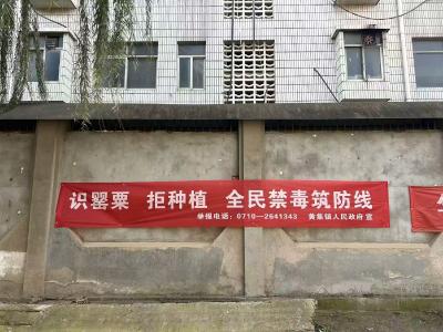 黄集镇全面开展禁毒铲毒宣传活动 筑牢无毒防线