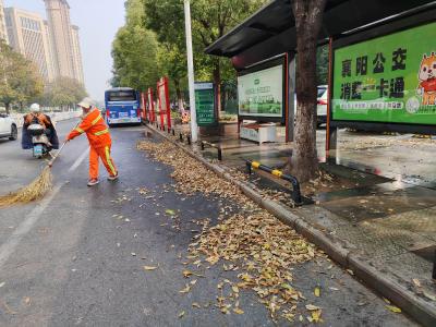 襄州：一“帚”扫秋叶 洁净环卫人