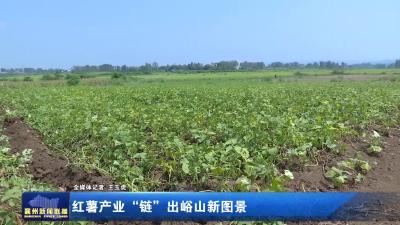 红薯产业“链”出峪山新图景