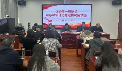 区委第一巡察组向区审计局党组反馈巡察情况