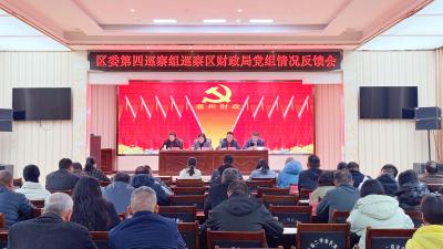 区委第四巡察组向区财政局党组反馈巡察情况