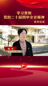 襄阳市襄州区学习贯彻党的二十届四中全会精神——系列访谈