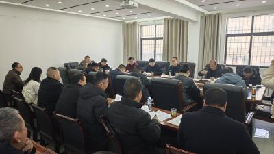 共商国土空间规划 绘就镇域发展蓝图